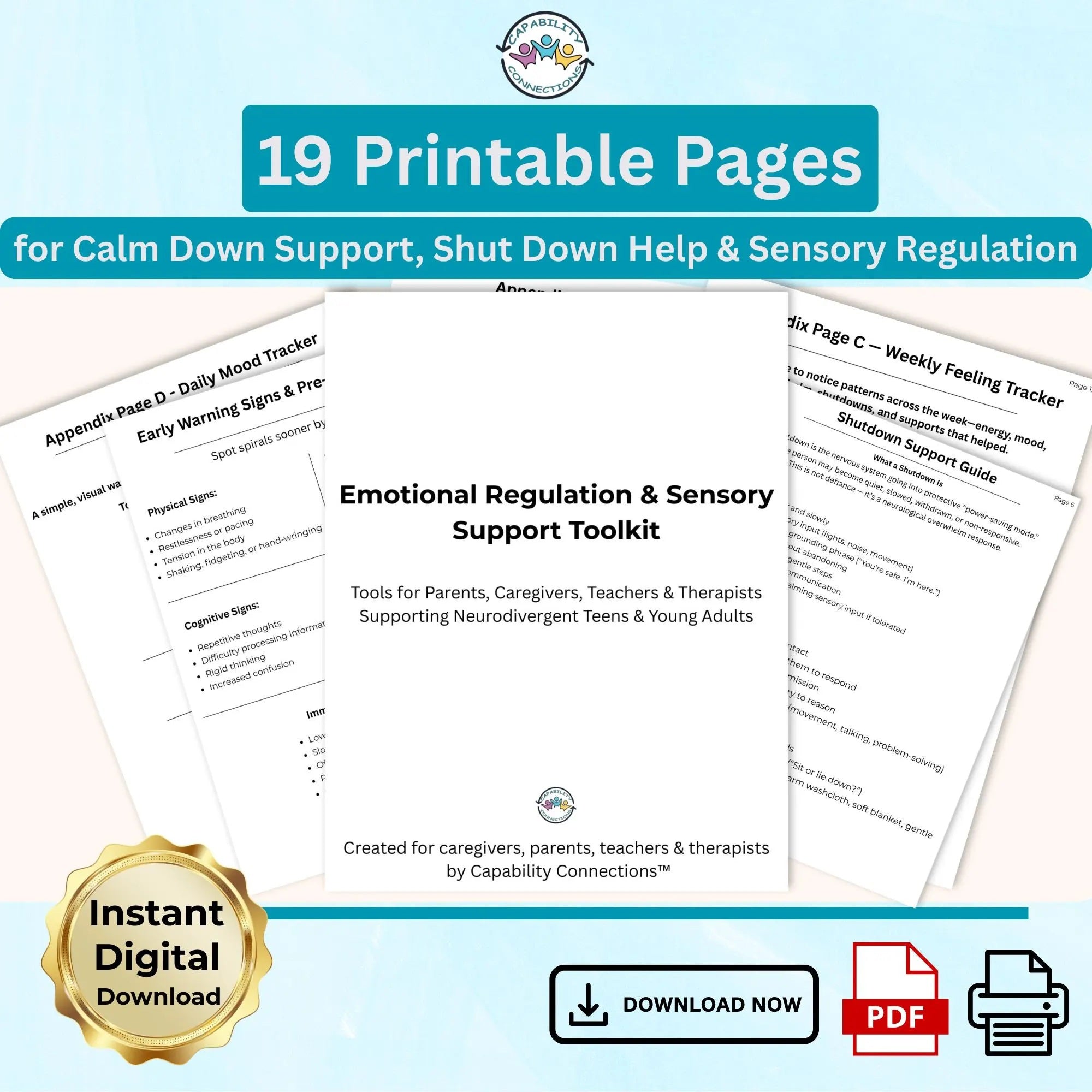 Emotional Regulation & Sensory Toolkit (PDF)